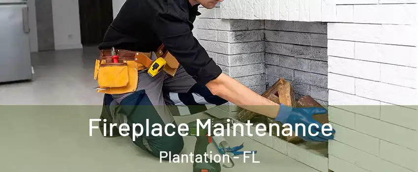  Fireplace Maintenance Plantation - FL